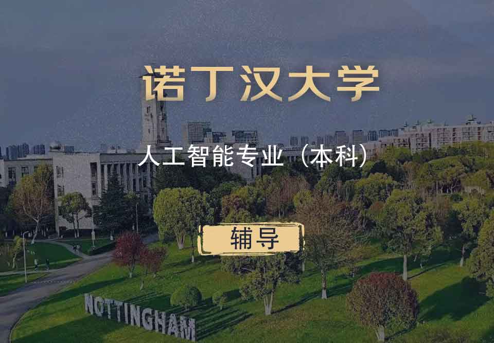 诺丁汉人工智能AI本科辅导