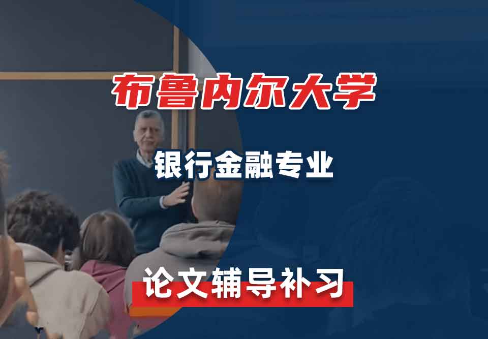 布鲁内尔大学Brunel银行金融论文辅导补习补课