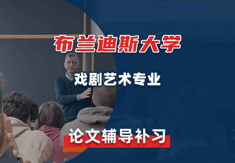 布兰迪斯大学戏剧艺术论文辅导补习补课