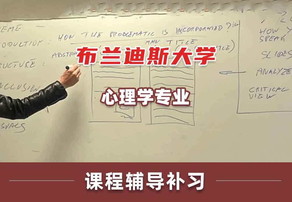 布兰迪斯大学心理学课程辅导补习补课