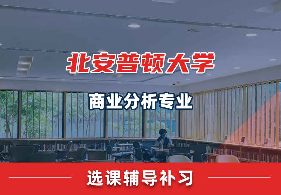 北安普顿大学商业分析选课辅导补习补课