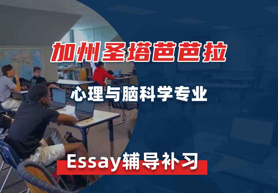 加州圣塔芭芭拉心理与脑科学Essay辅导补习补课