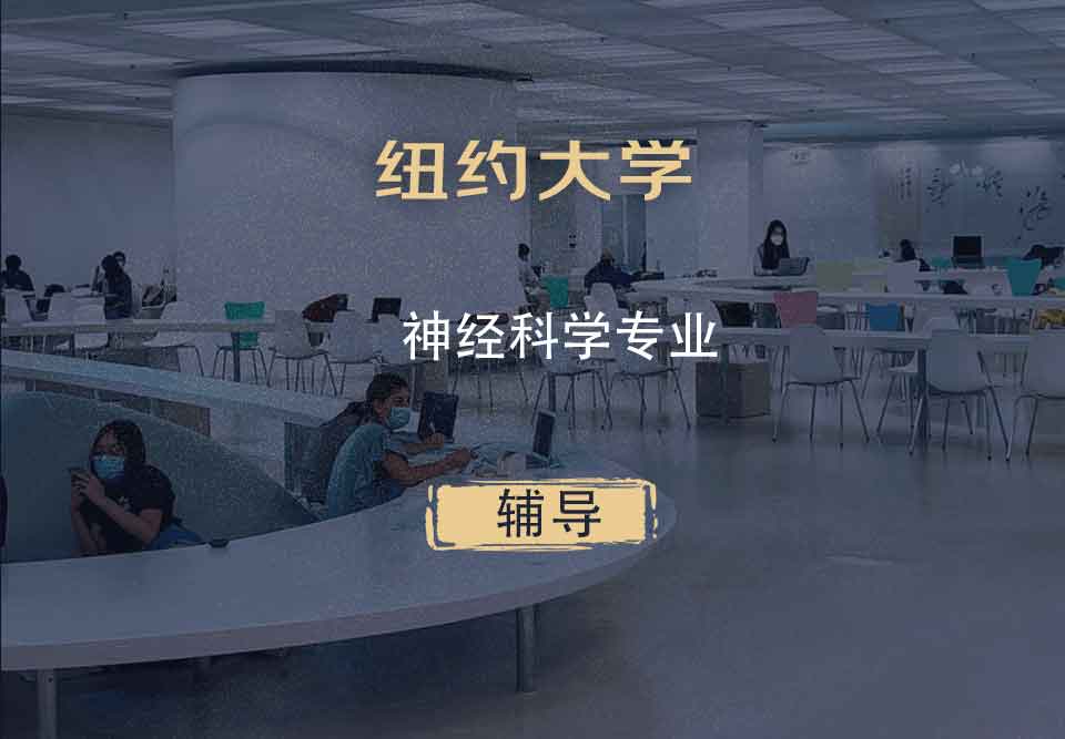 纽约大学NYU神经科学辅导