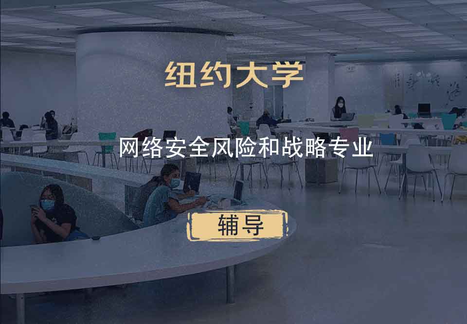 纽约大学NYU网络安全风险和战略辅导
