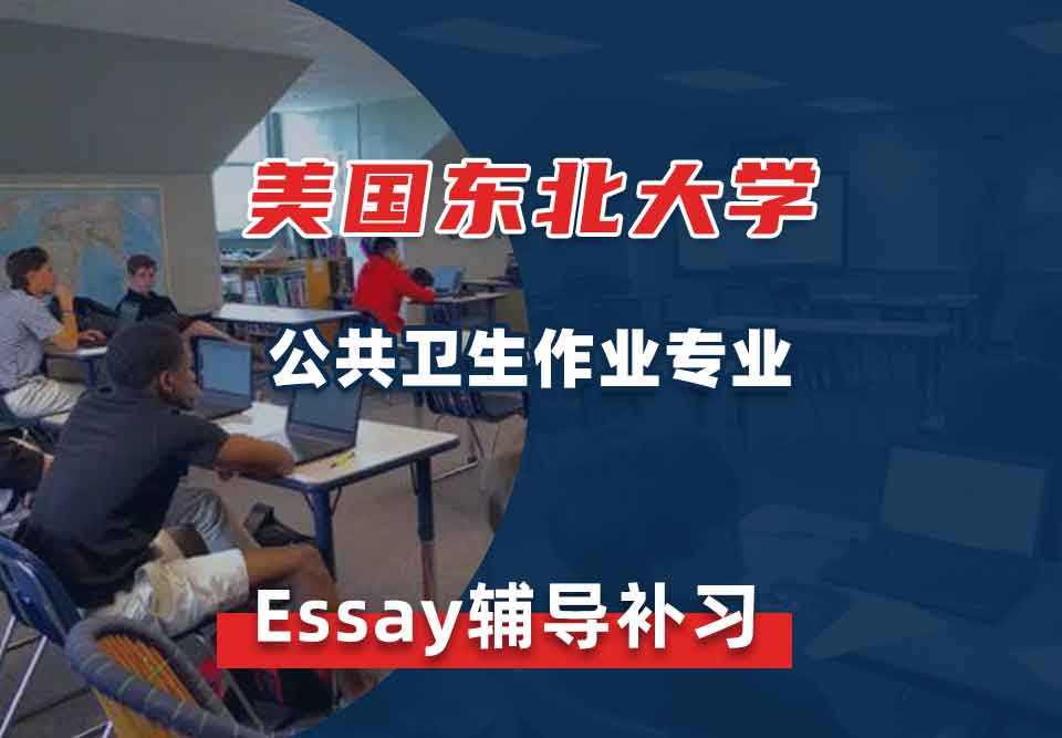 美国东北大学NU公共卫生作业Essay辅导补习补课