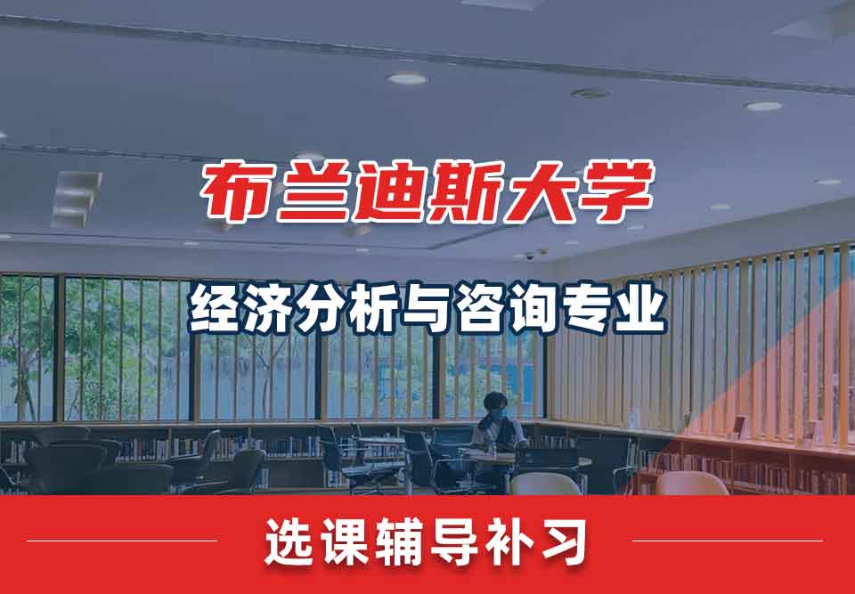 布兰迪斯大学经济分析与咨询选课辅导补习补课