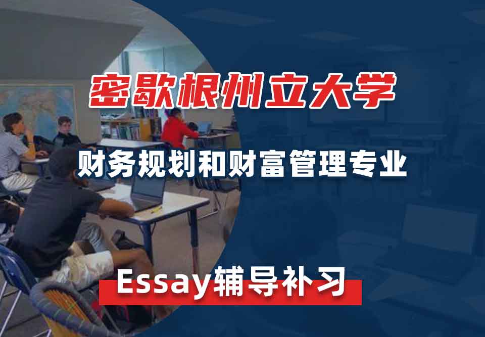 密歇根州立大学MSU财务规划和财富管理Essay辅导补习补课
