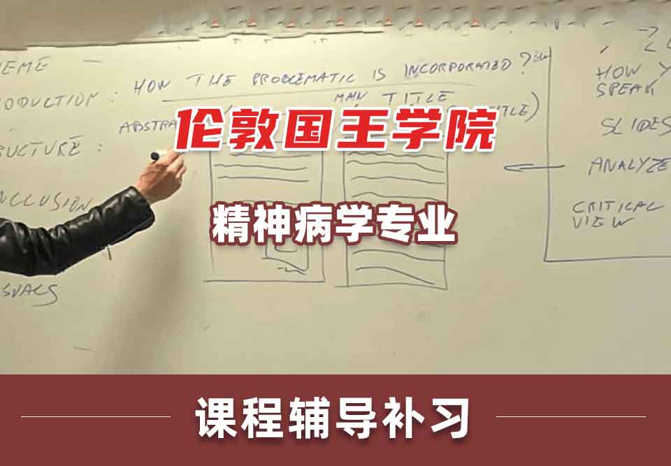 伦敦国王学院KCL精神病学课程辅导补习补课