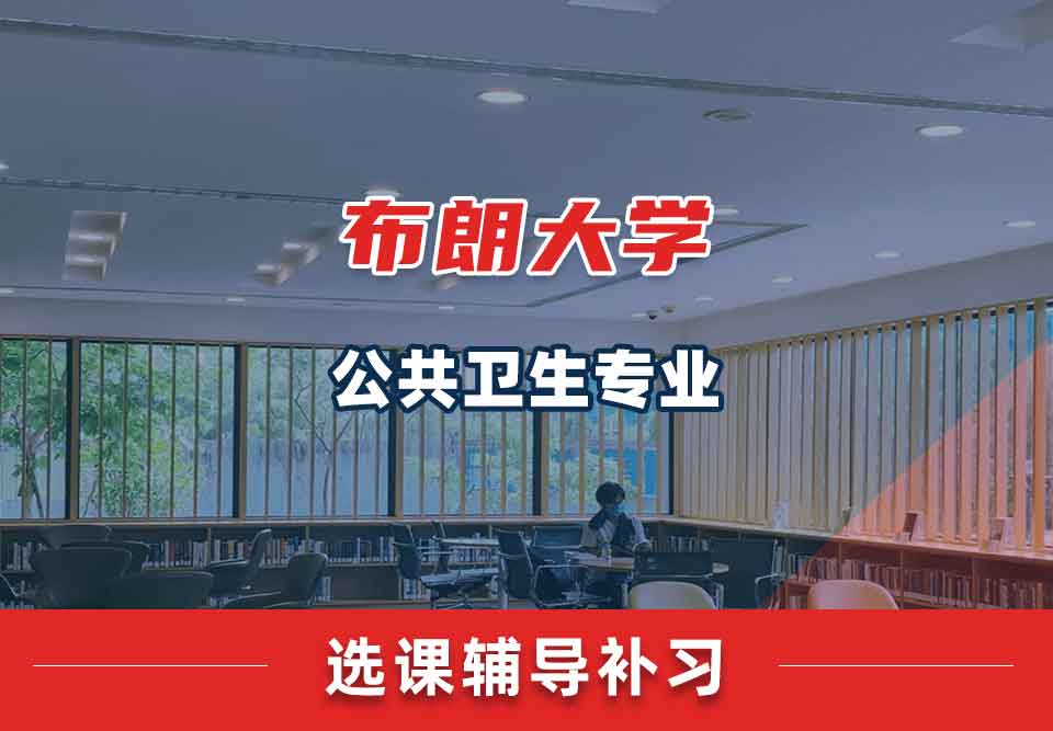 布朗大学Brown公共卫生选课辅导补习补课