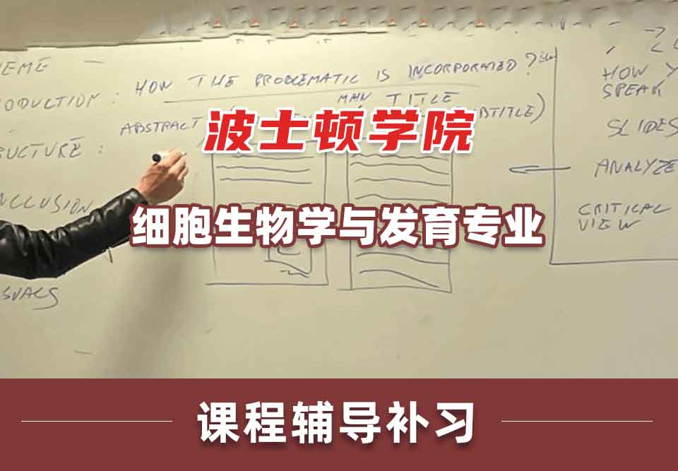 波士顿学院BC细胞生物学与发育课程辅导补习补课