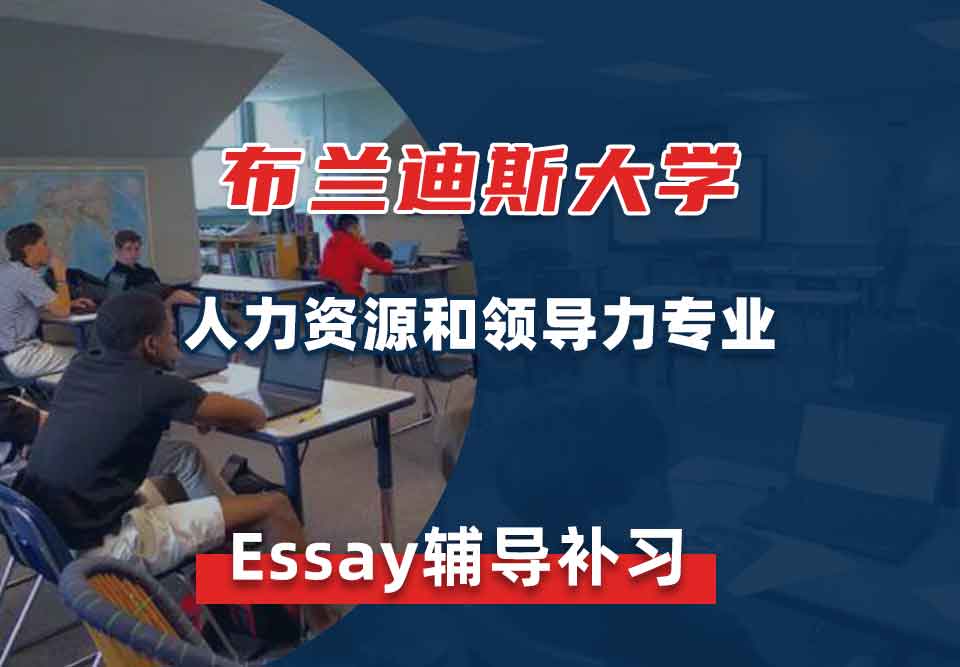 布兰迪斯大学人力资源和领导力Essay辅导补习补课