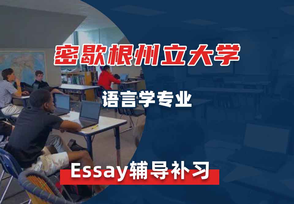 密歇根州立大学MSU语言学Essay辅导补习补课