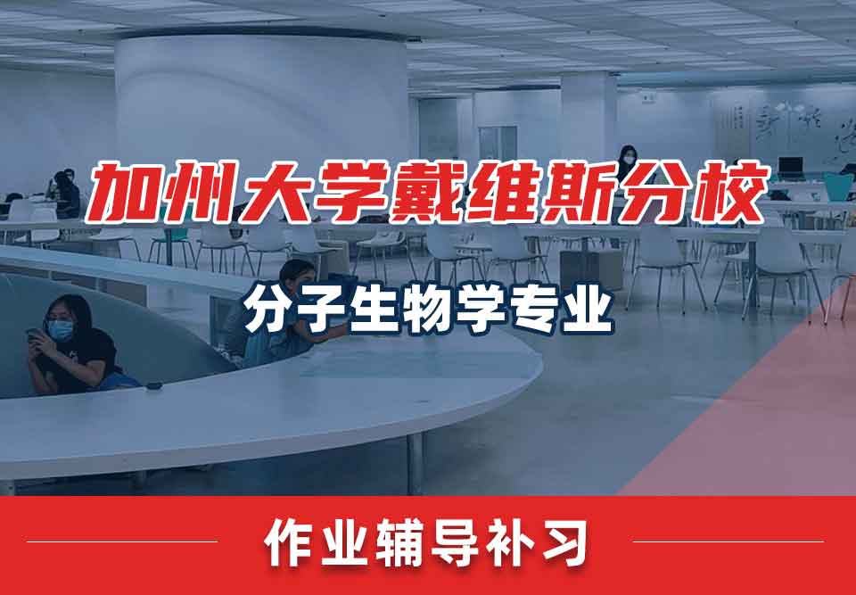 加州大学戴维斯分校UCDavis分子生物学作业辅导补习补课