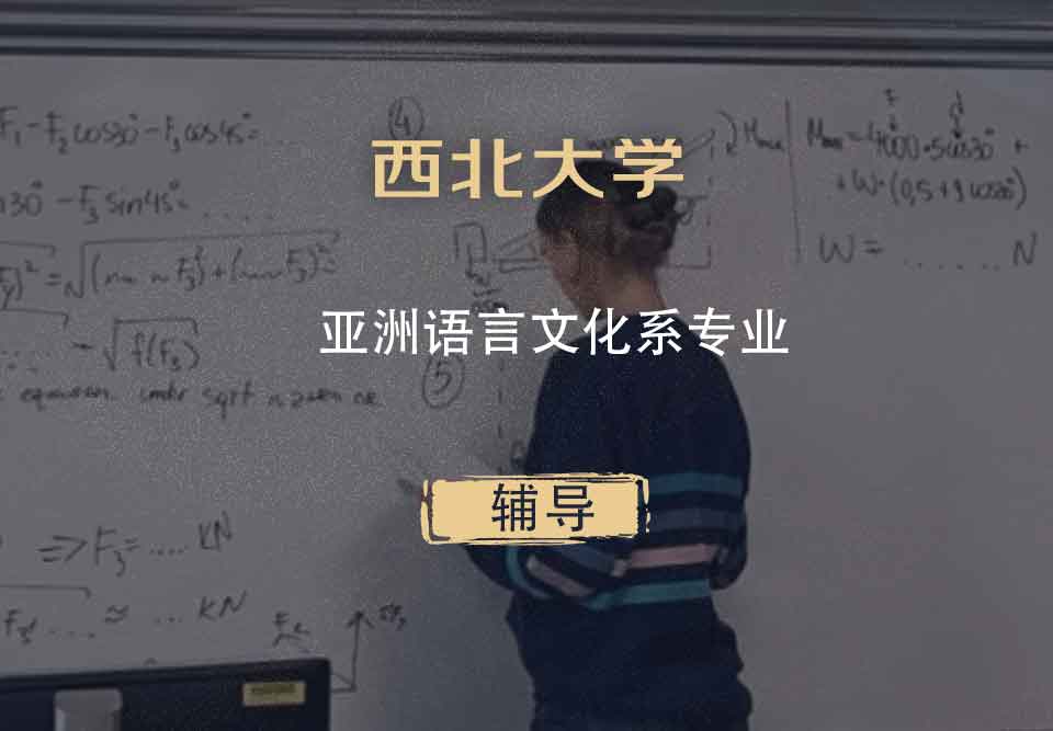 西北大学NU亚洲语言文化系辅导