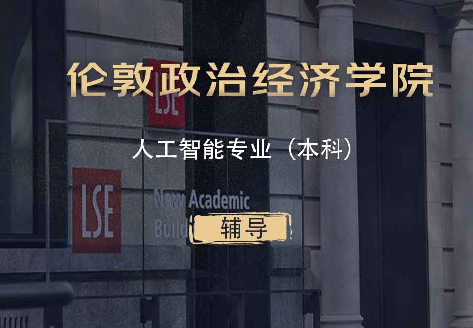 LSE人工智能AI本科辅导