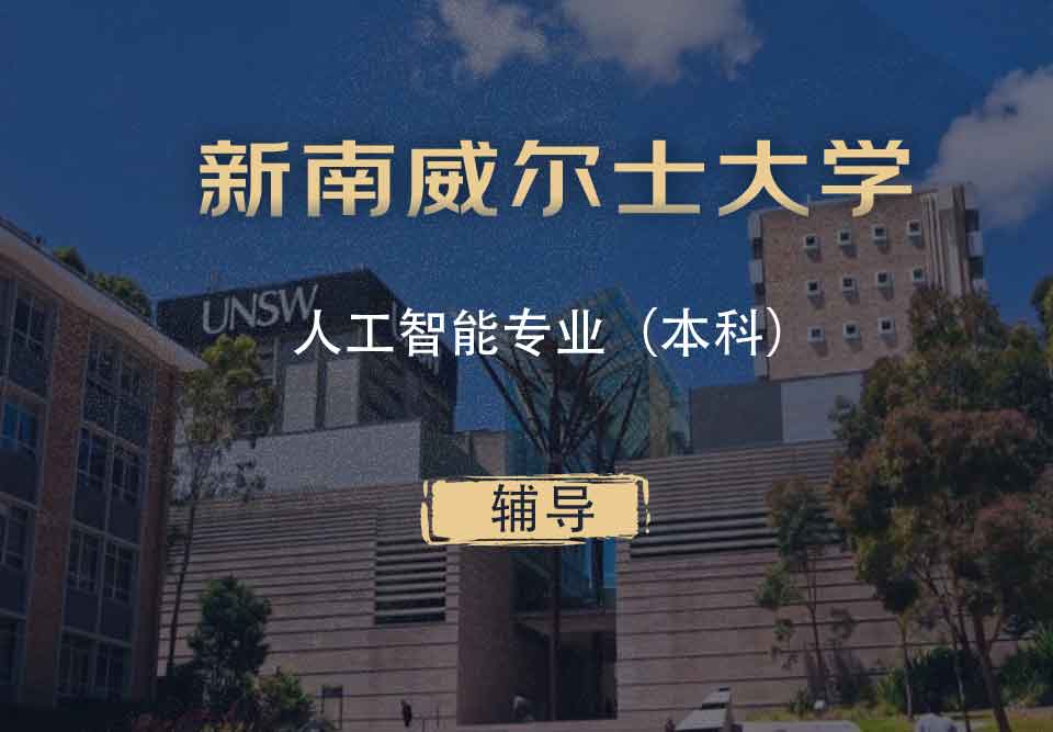 UNSW人工智能AI本科辅导