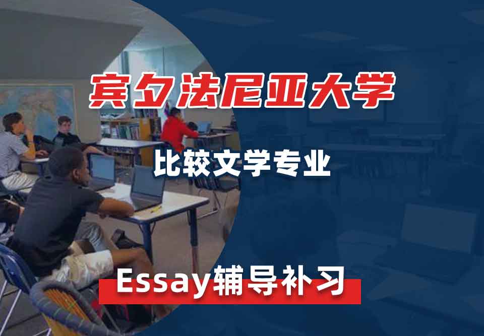宾夕法尼亚大学UPenn比较文学Essay辅导补习补课