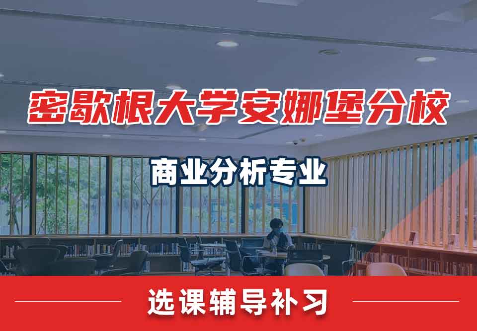 密歇根大学UMich安娜堡分校商业分析选课辅导补习补课