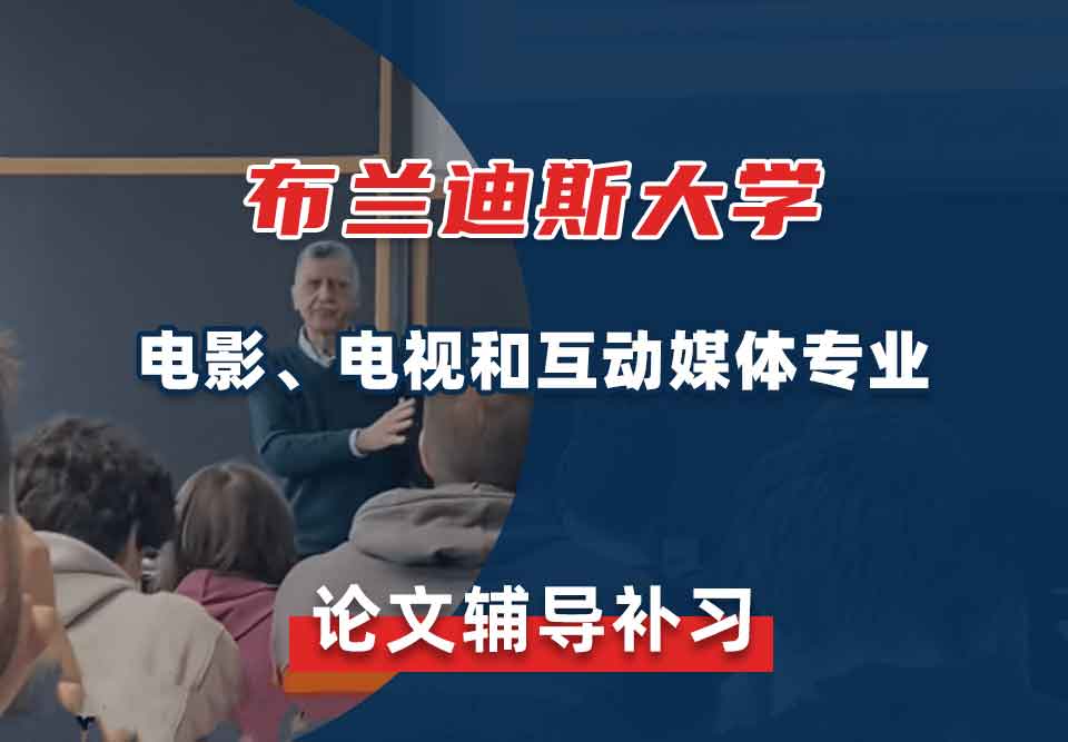 布兰迪斯大学电影、电视和互动媒体论文辅导补习补课