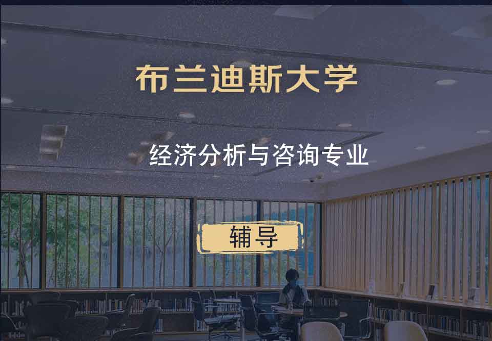 布兰迪斯大学Brandeis经济分析与咨询辅导