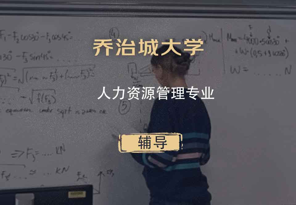 乔治城大学GT人力资源管理辅导