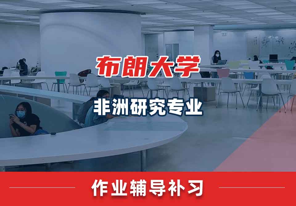 布朗大学Brown非洲研究作业辅导补习补课