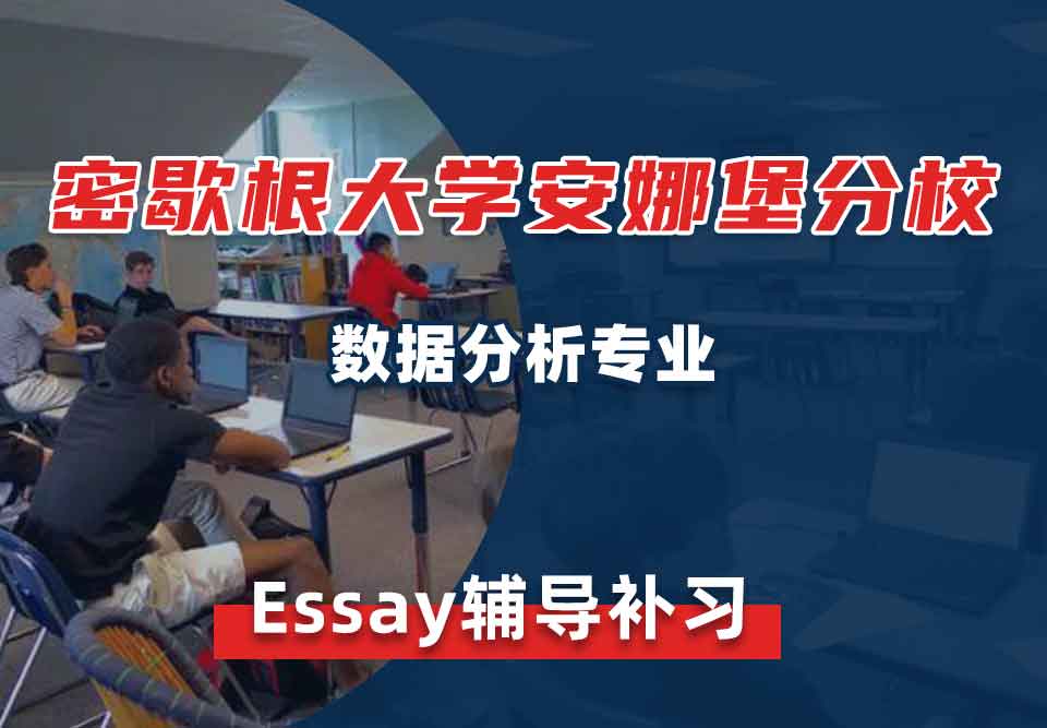 密歇根大学安娜堡分校UMich数据分析Essay辅导补习补课