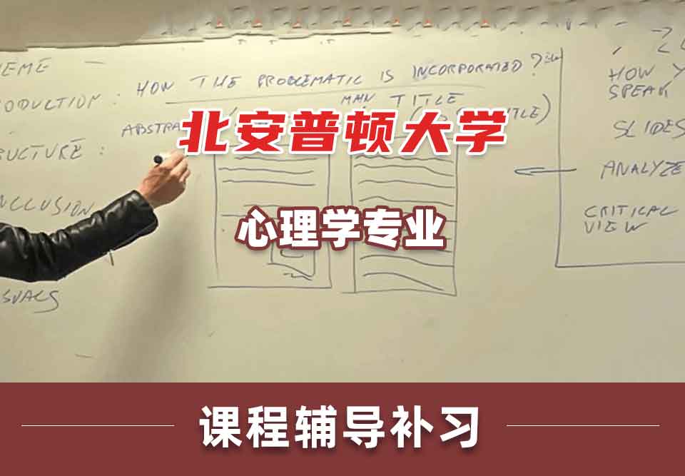 北安普顿大学心理学课程辅导补习补课