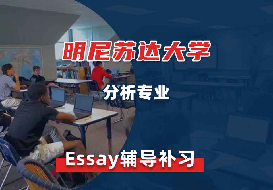 明尼苏达大学UMN分析essay辅导补习补课