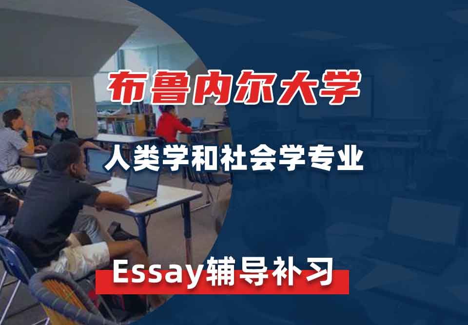 布鲁内尔大学Brunel人类学和社会学Essay辅导补习补课