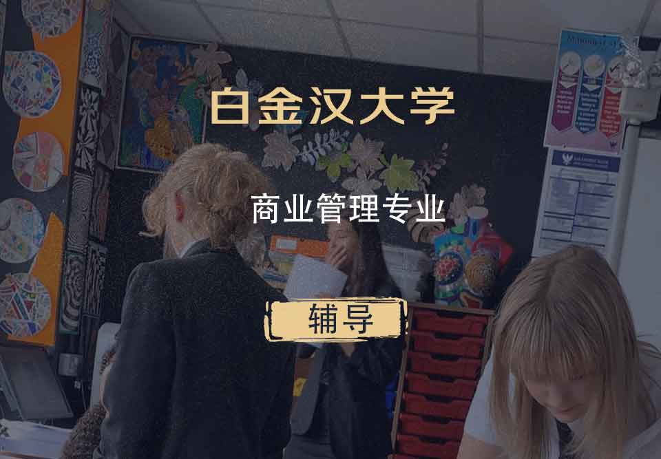 白金汉大学商业管理辅导