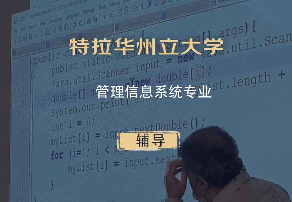 特拉华州立大学DSU管理信息系统辅导