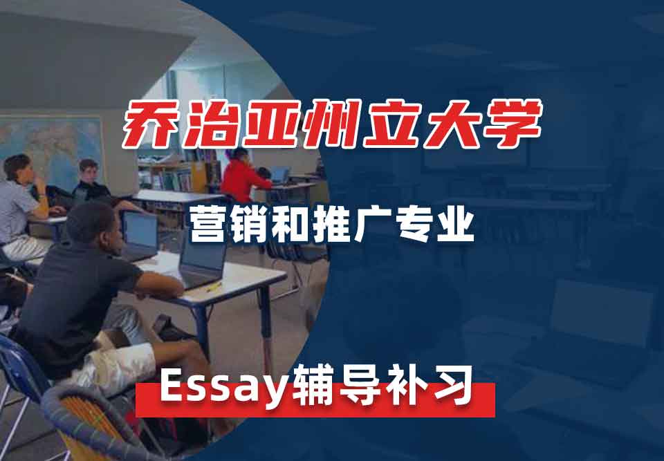 乔治亚州立大学GSU营销和推广essay辅导补习补课