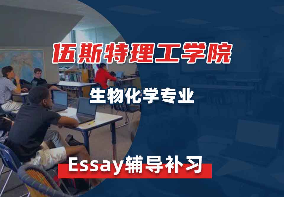 伍斯特理工学院WPI生物化学Essay辅导补习补课