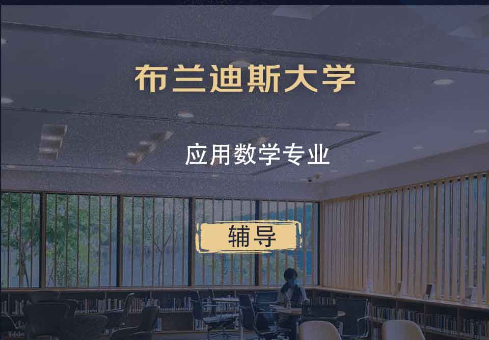 布兰迪斯大学Brandeis应用数学辅导