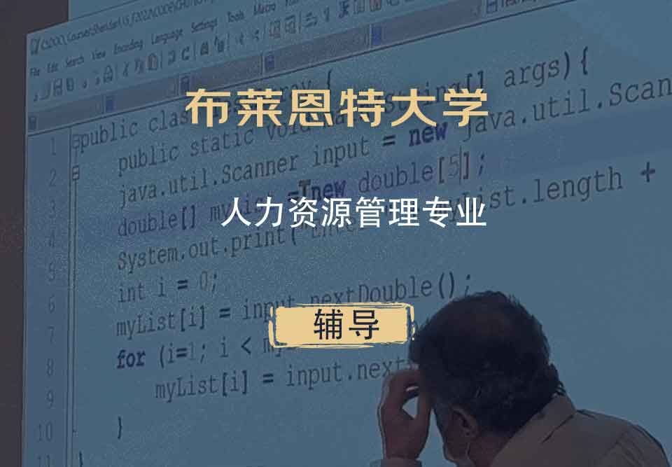 布莱恩特大学人力资源管理辅导