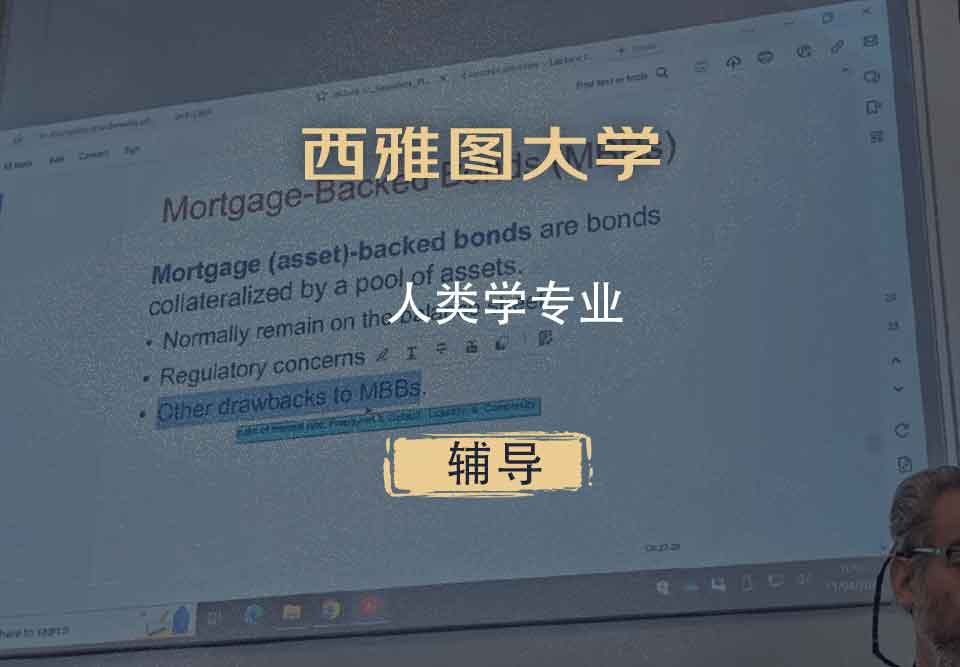西雅图大学SU人类学辅导