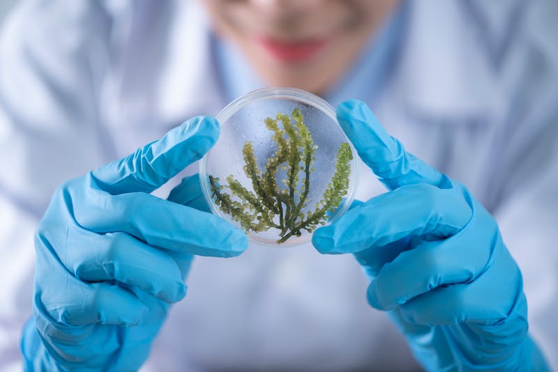 化学（Chem）专业留学生写论文如何搜文献？