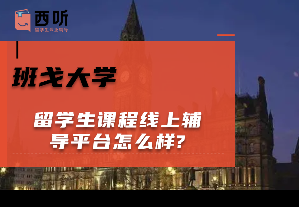 班戈大学留学生课程线上辅导平台怎么样?