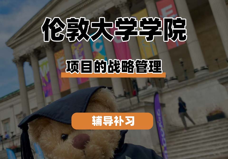 伦敦大学学院UCL项目的战略管理辅导补习补课