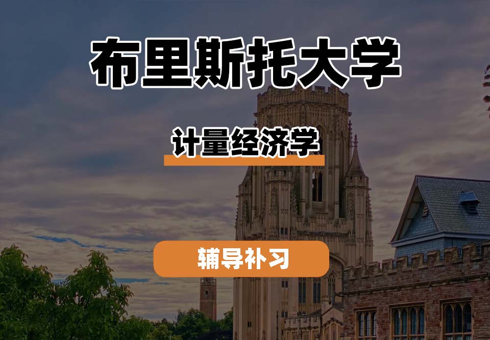 布里斯托大学Bristol布大计量经济学辅导补习补课