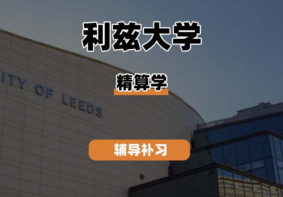 利兹大学leeds精算学辅导补习补课