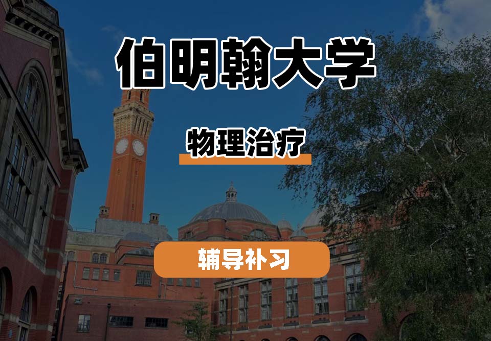 伯明翰大学UOB伯大物理治疗辅导补习补课