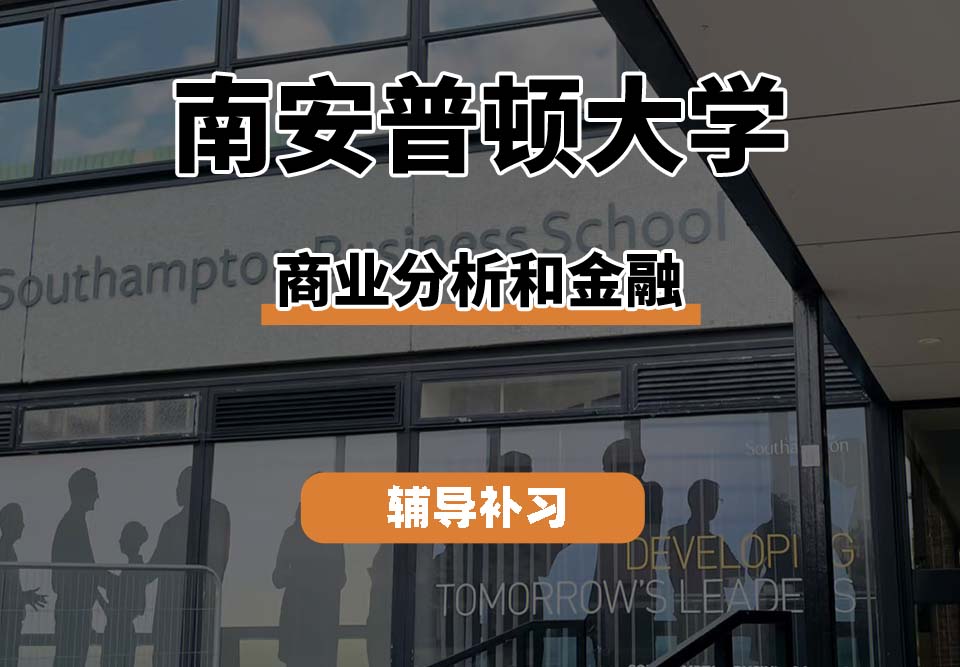 南安普顿大学Soton南安商业分析和金融辅导补习补课
