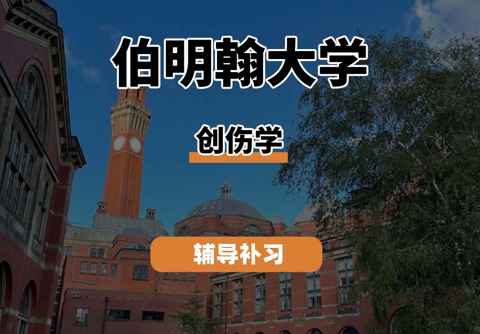 伯明翰大学UOB伯大创伤学辅导补习补课