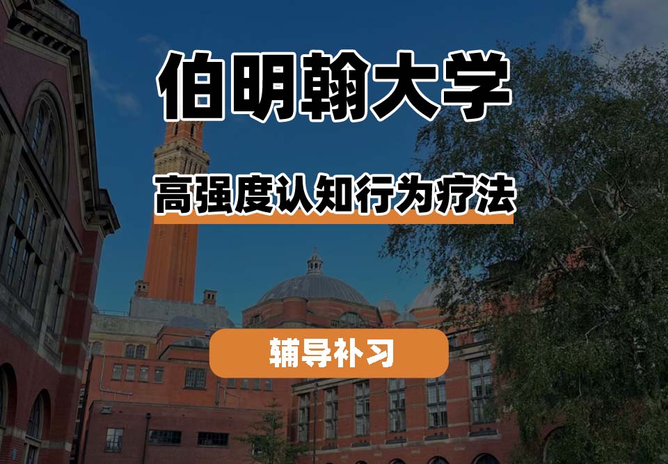 伯明翰大学UOB伯大高强度认知行为疗法辅导补习补课