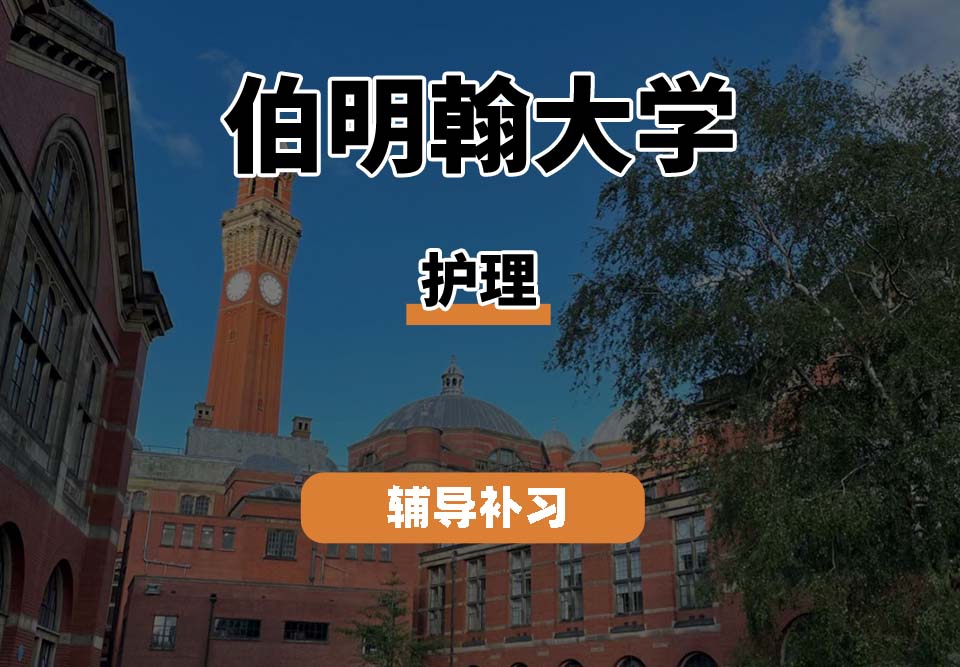 伯明翰大学UOB伯大护理专业辅导补习补课