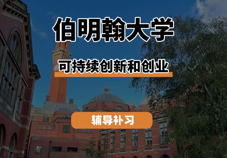 伯明翰大学UOB伯大可持续创新和创业辅导补习补课