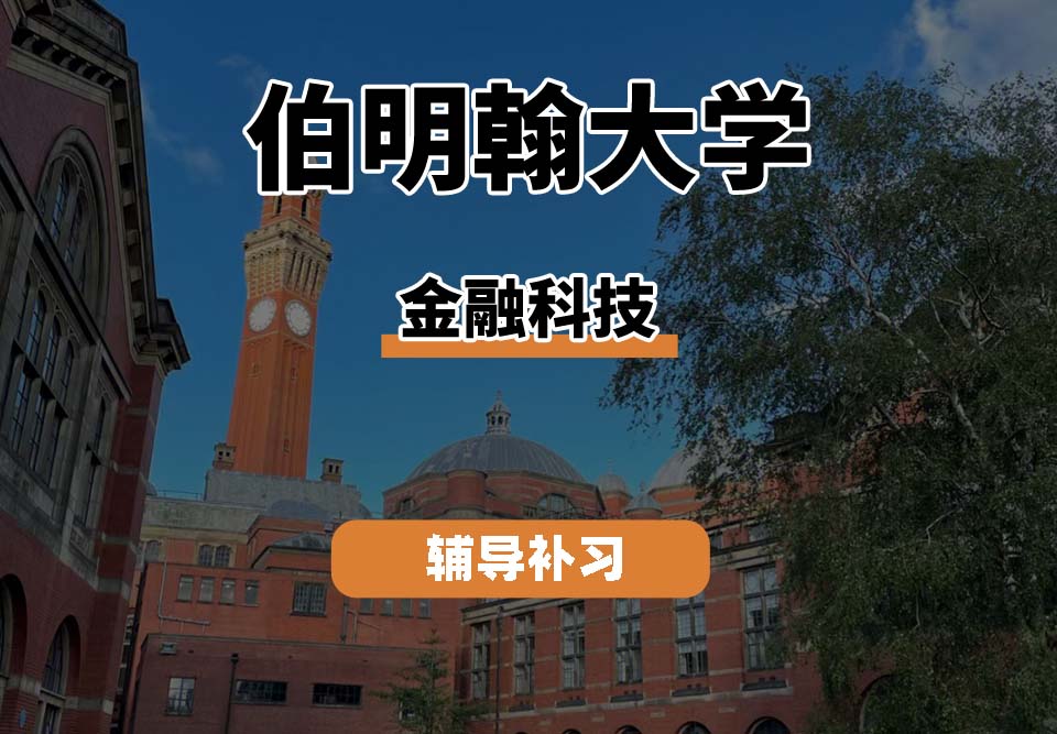 伯明翰大学UOB伯大金融科技辅导补习补课