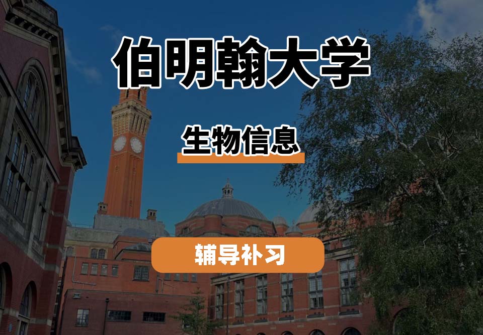 伯明翰大学UOB伯大生物信息辅导补习补课
